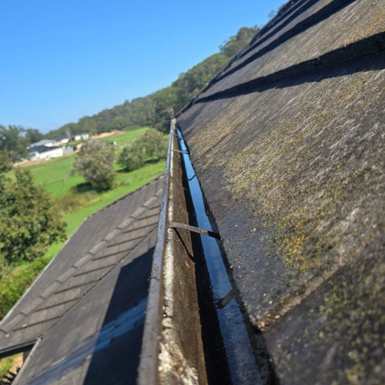 Gutter Cleaning Sydney