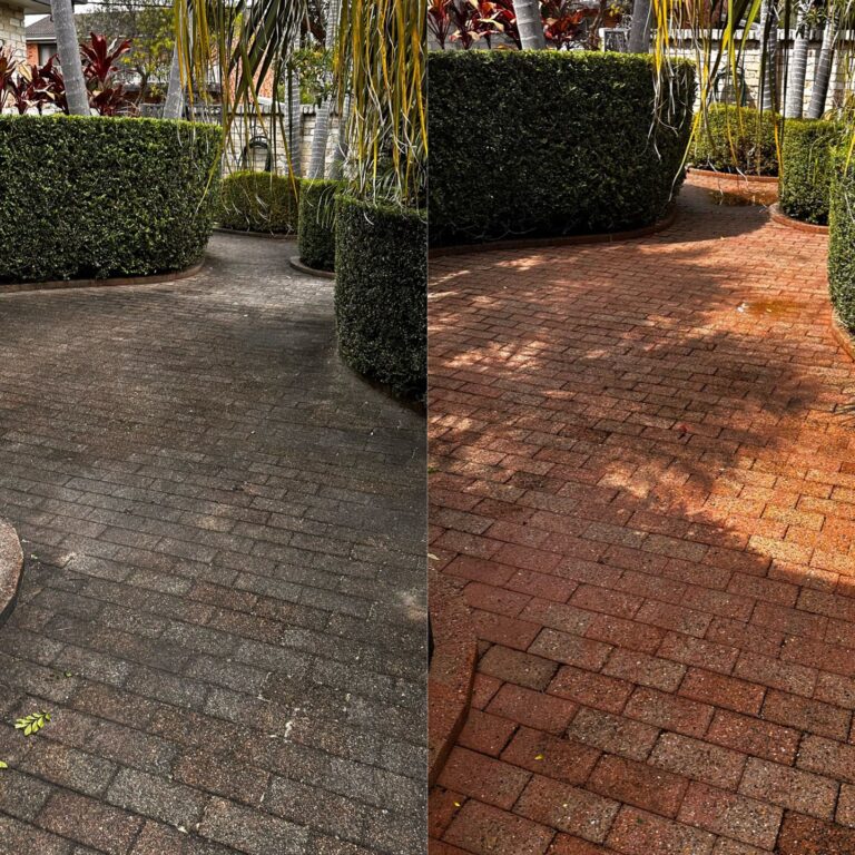 paver clean 3