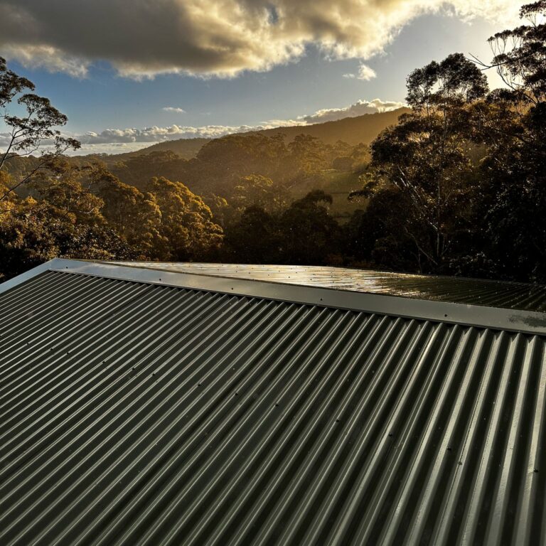 roof clean 2