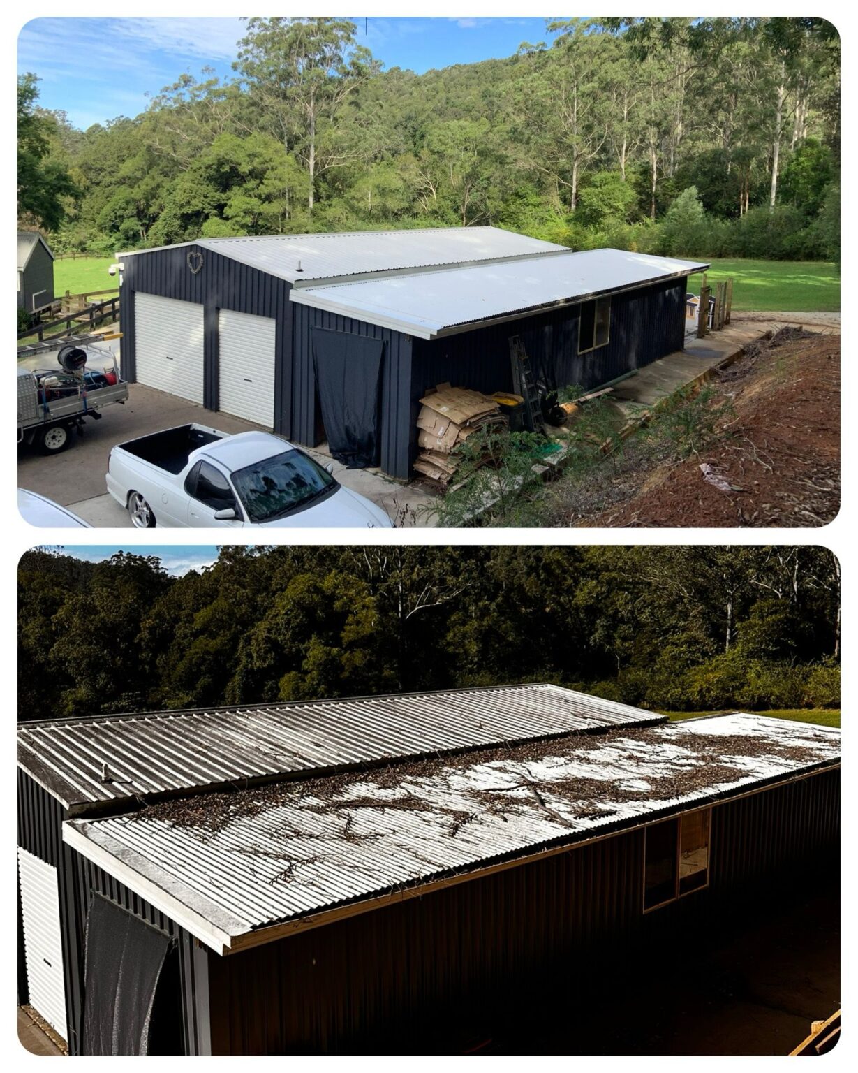 roof clean 3