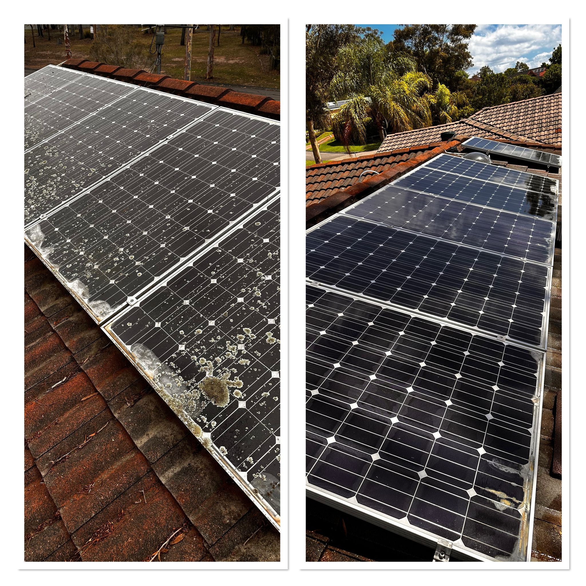 solar panel 2